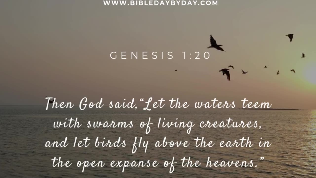 Let birds fly above the earth