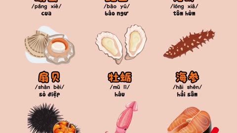 🦀🦑🦞 Từ vựng chủ đề Hải sản siêu dễ nhớ! – bacnhabook.vn