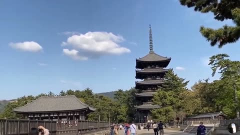 Kofukuji Buddhist Temple in Nara Japan Tour