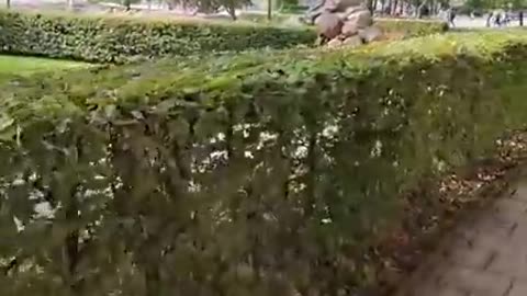 Låt ingen fördömelse hindra Dig från att Vittna om Jesus.
