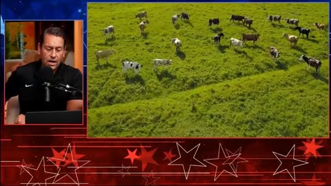 The Cows Are Dropping Dead! Feeding people Cancer