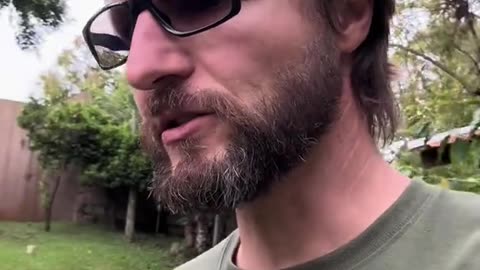 A flor do café é um tônico natural