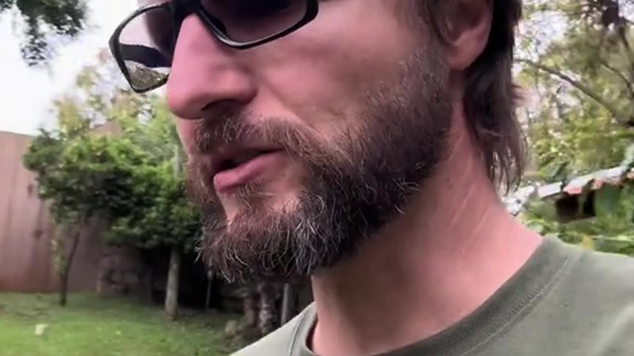 A flor do café é um tônico natural