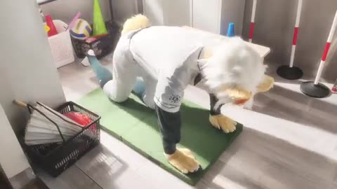 .