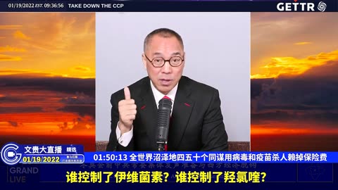（三十五）全世界沼泽地四五十个同谋用病毒和疫苗杀人赖掉保险费【2022年01月19日文贵大直播精选】