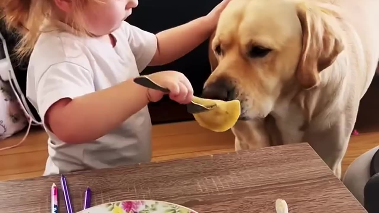 What Happens When Dogs Take Over the House? What Happens When You Feed Your DOG ALL Your Food?