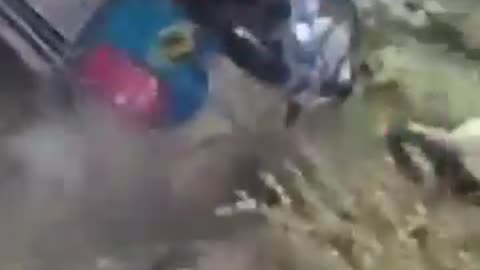 You Just Got on a Bird’s Hit List | Feathered Fury Caught on Camera