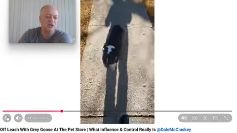 The Anti Dog Trainer - Control and Influence takes a Walk - Pt 6