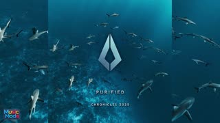 VA - Purified Chronicles 2025 (2025)