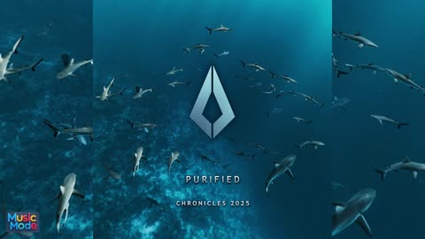 VA - Purified Chronicles 2025 (2025)