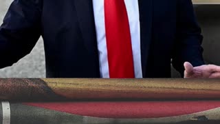 Trump's New Immigration Plan After Raid: 'Bring in Experts to Train Americans' 🤯
