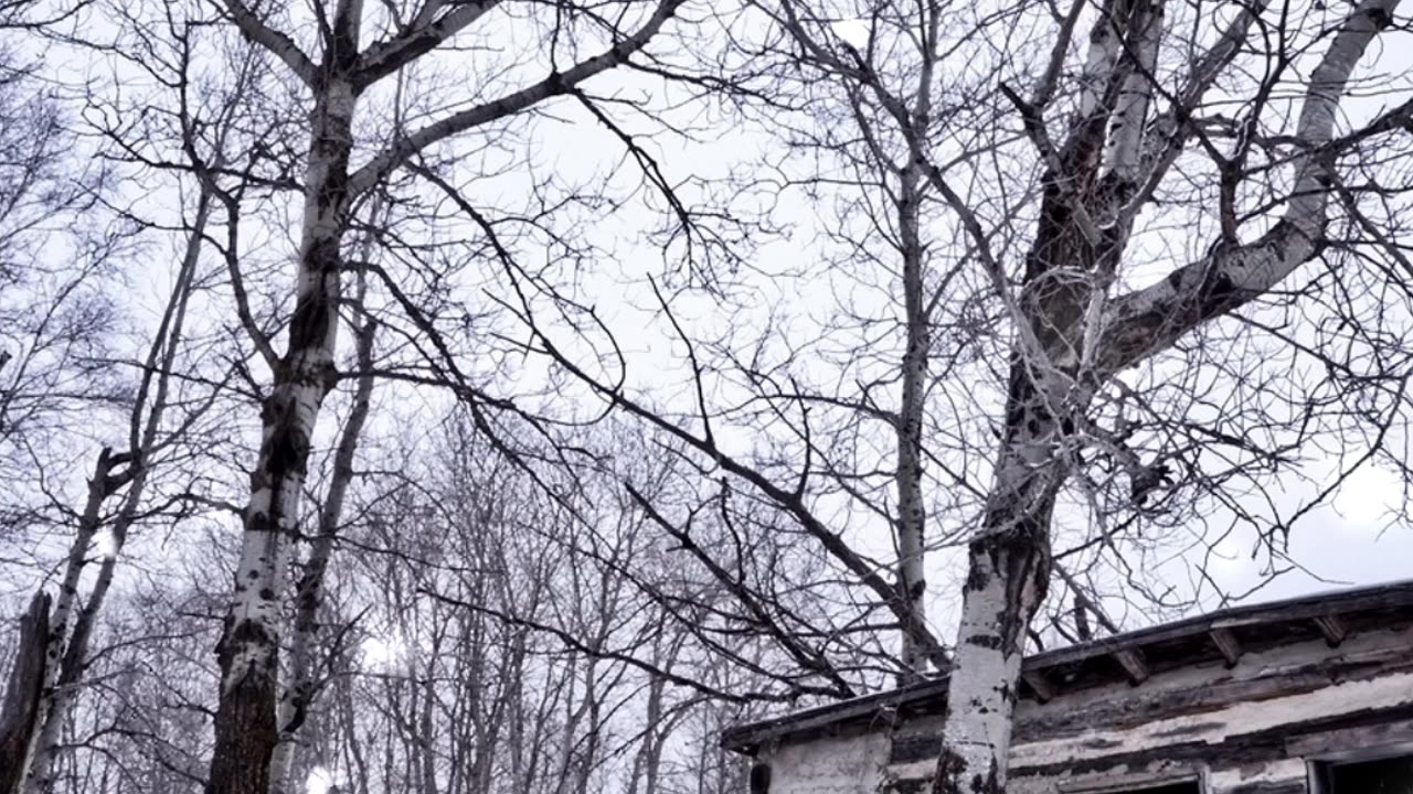 Snow starting