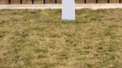 FAMOUS GRAVES - VOL. 385: GEORGE H.W. BUSH