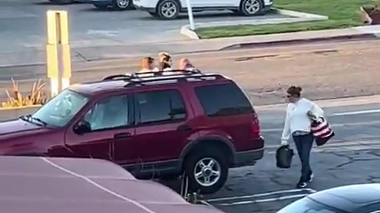 Glitch in the MATRIX