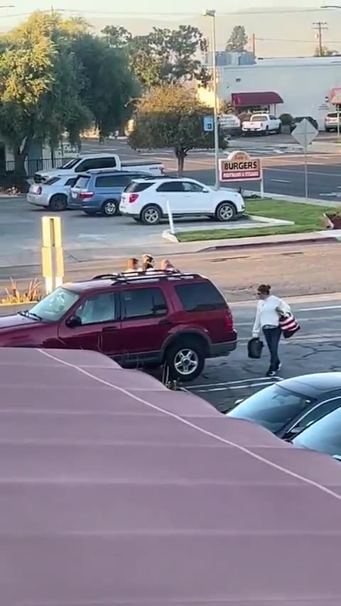 Glitch in the MATRIX