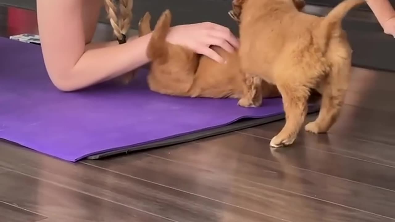 Funny moments