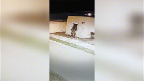Robo en Ulriksen