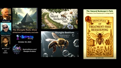 SHUNGITE REALITY 10/30/25 - 2025 Shungite Bees Success