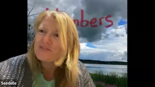 Numbers 20, Moses Strikes Rock, water of meribah, Edom Refuses Passage, Aaron’s Death