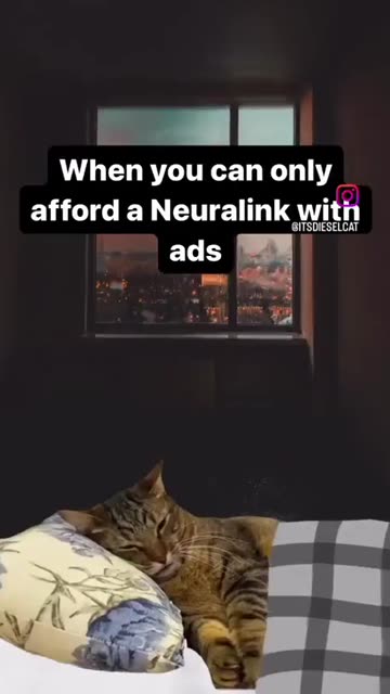 future of neurolink