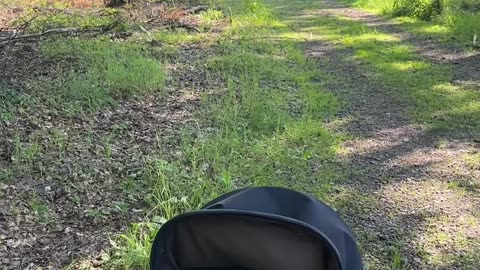 baby’s first nature adventure — pure joy and smiles!