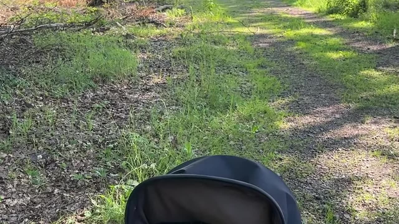 baby’s first nature adventure — pure joy and smiles!