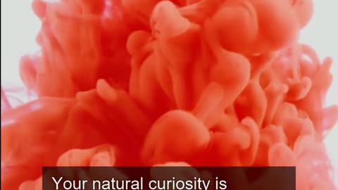 Daily Horoscope | Gemini 🌟