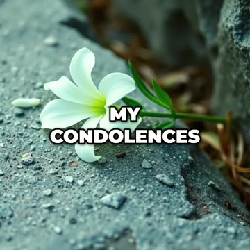 Elon Musk: Secret Ambitions or American Hero?