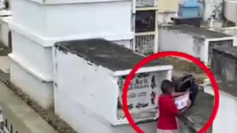 || One of the most Heart ❤ touching videos on the internet ||