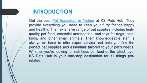 Get the best Pet Essentials in Yishun