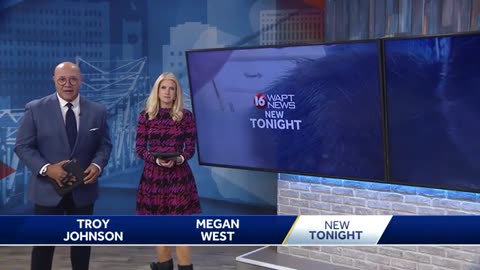 Kitten left without a tail after being trapped underneath car