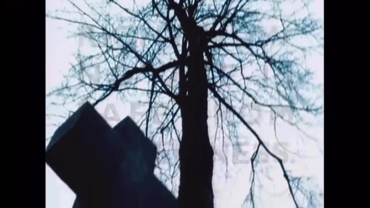 Van Halen - “Right Now” (Official Music Video)