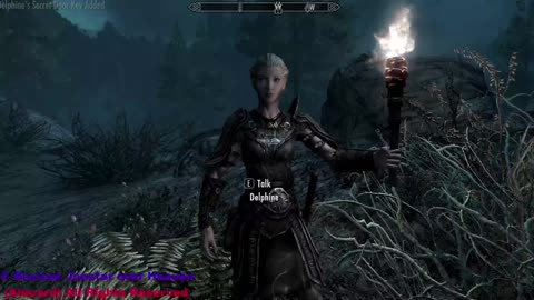 skyrim