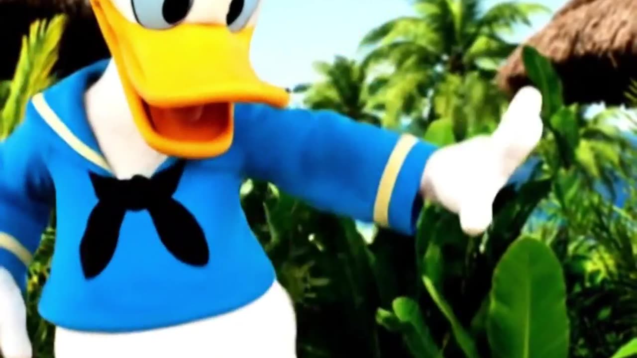 Funny Duck.