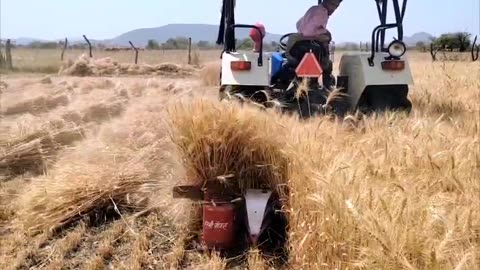 #Wheat katane ki machine🌾🌾#viralshorts