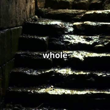 This Jungle City Had Super Clean Water 2,000 Years Ago!