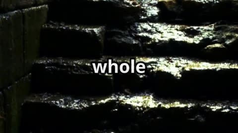 This Jungle City Had Super Clean Water 2,000 Years Ago!