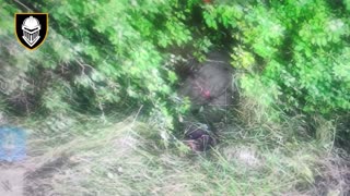 🚀🔰 Ukraine Russia War | Ukrainian Tank & BTR-4s Launch Fierce Counterattack in Kharkiv Forest | RCF