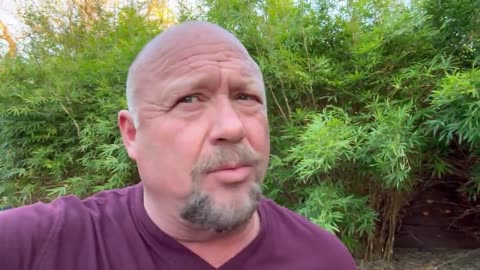 Alex Jones says he's worried Candace Owens and her mind