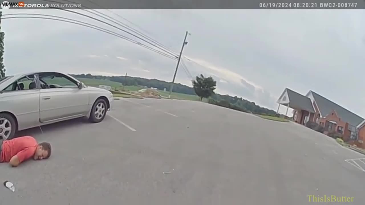 FUCK PIGS ALL OF THEM!!! 🐷🐷🐷