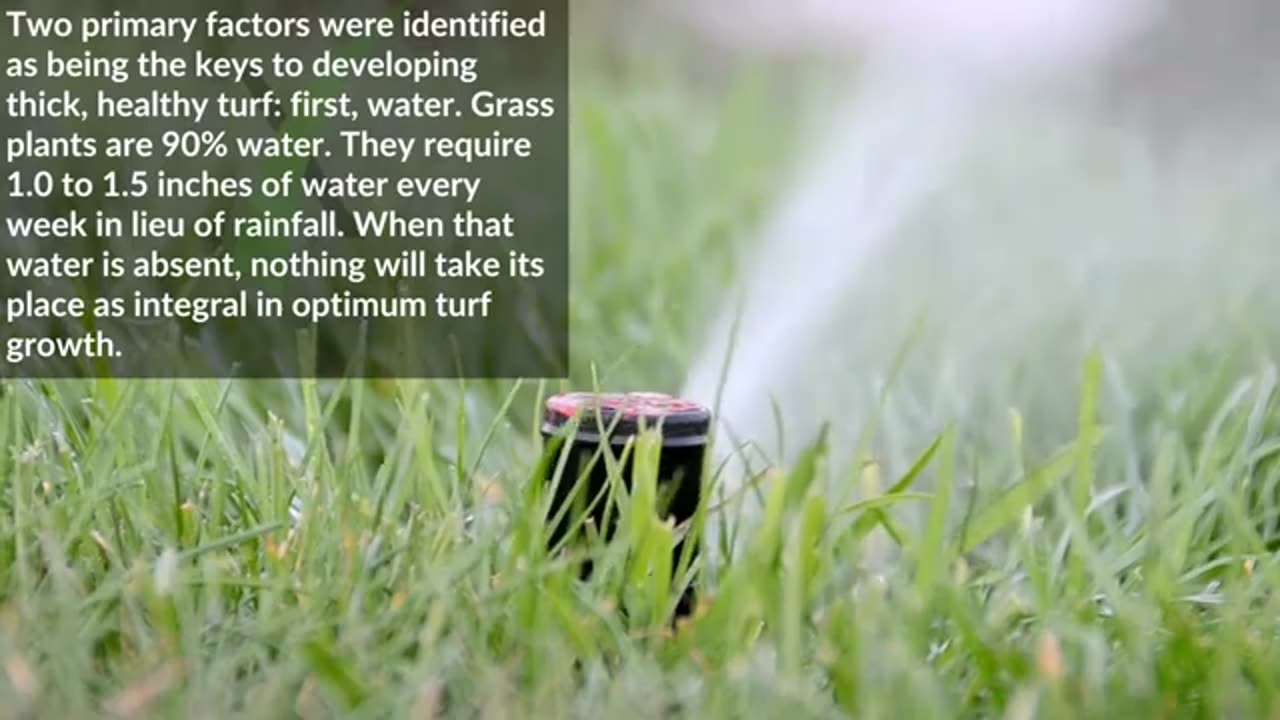 How Much Fertilizer Does Your Lawn Need?