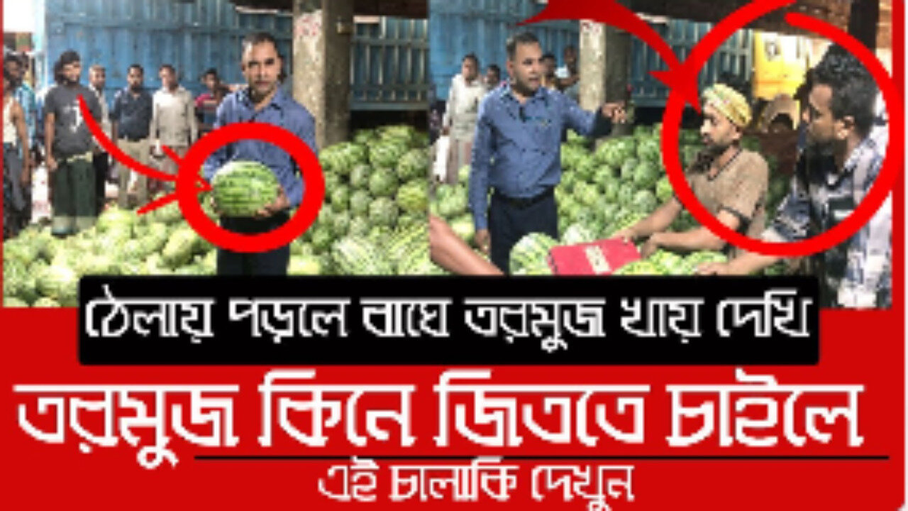 ৮০ টাকার তরমুজ ৩০০ টাকা, বাজারে অভিযান | Daily Issues | Vokta Odhikar | Watermelon