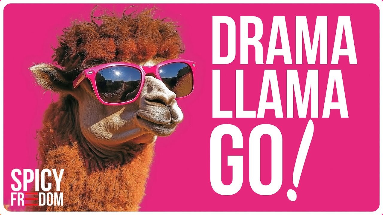 DRAMA LLAMA GO! IT'S SPICY FRIDAY!