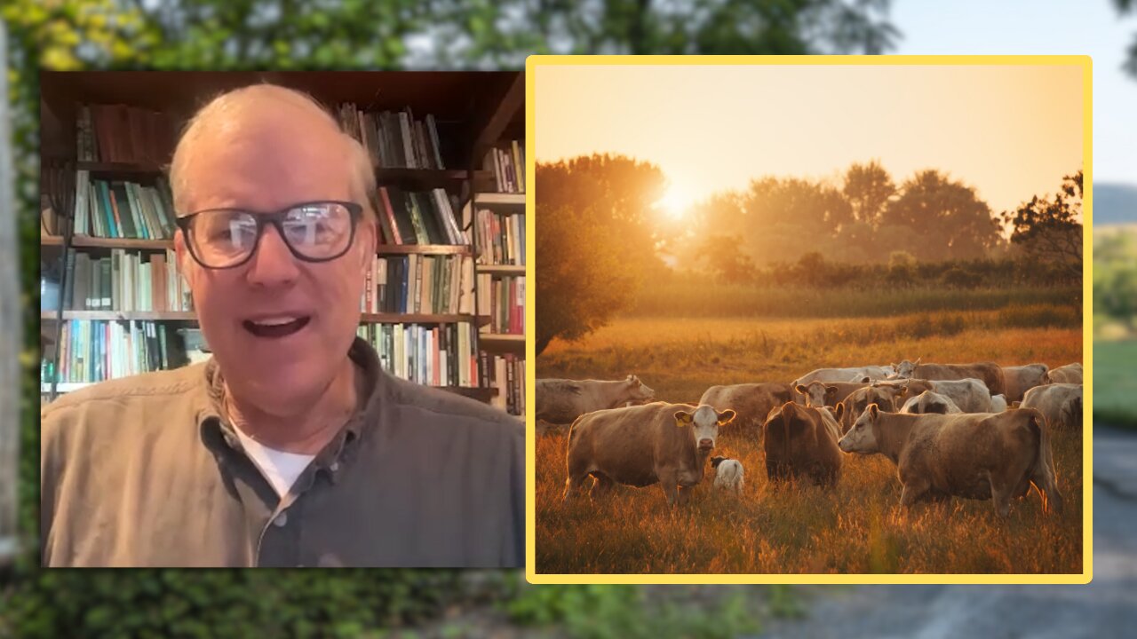 Homestead OVERGRAZING - Joel Salatin