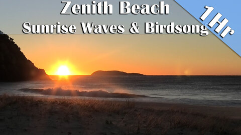 1 Hour of Australian Beach Sunrise with Waves & Birdsong | Nature Sounds for Sleep, Study & Relax