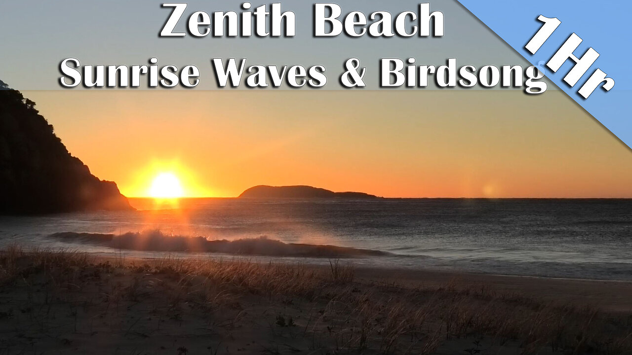 1 Hour of Australian Beach Sunrise with Waves & Birdsong | Nature Sounds for Sleep, Study & Relax