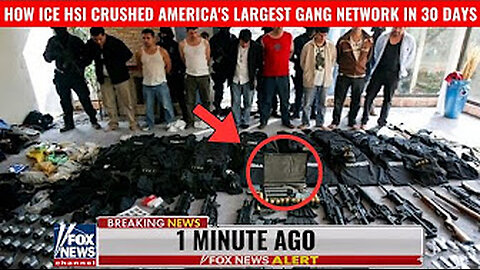 Arrest of +600 gang members.