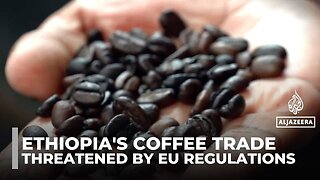 Ethiopian coffee farmers struggle with costly EU origin regulations