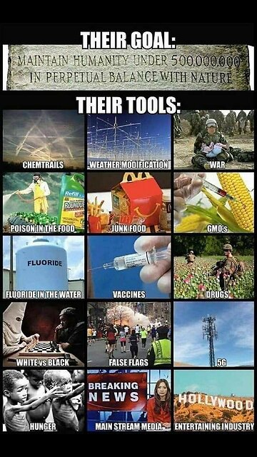 “13 Bloodlines rule the World”