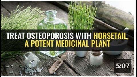 "Horsetail: A Potent Medicinal Plant for Osteoporosis Treatment"